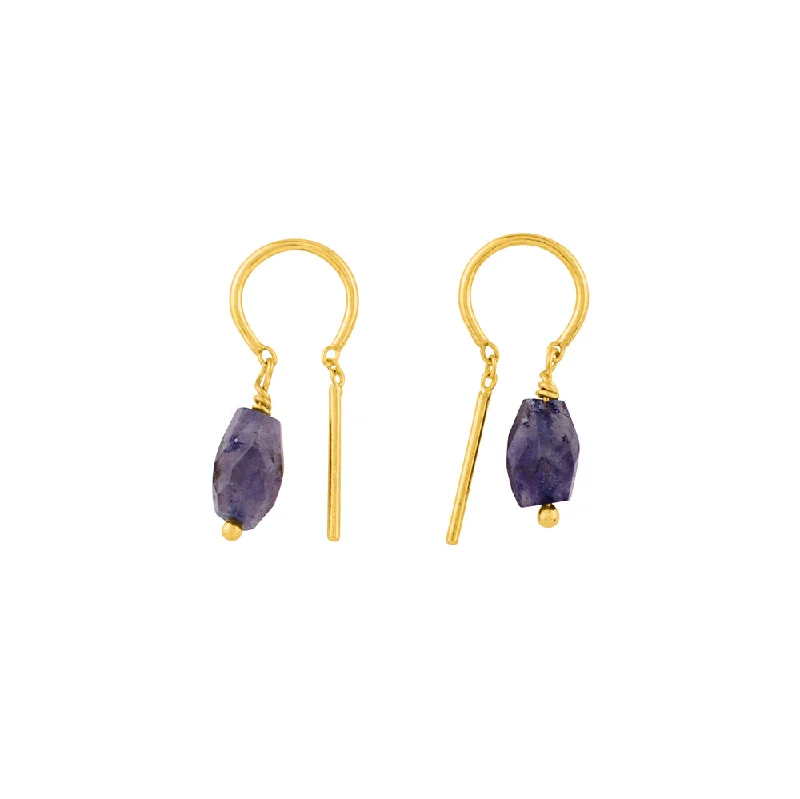 Ladies gold hoop earrings-Oblong Stony Dancer Threaders in Iolite & Gold - 3/4" L