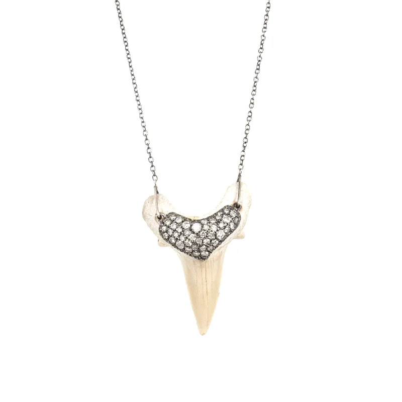 Ladies layered necklaces-Shark Tooth Necklace